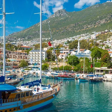 Lamyros Kalkan